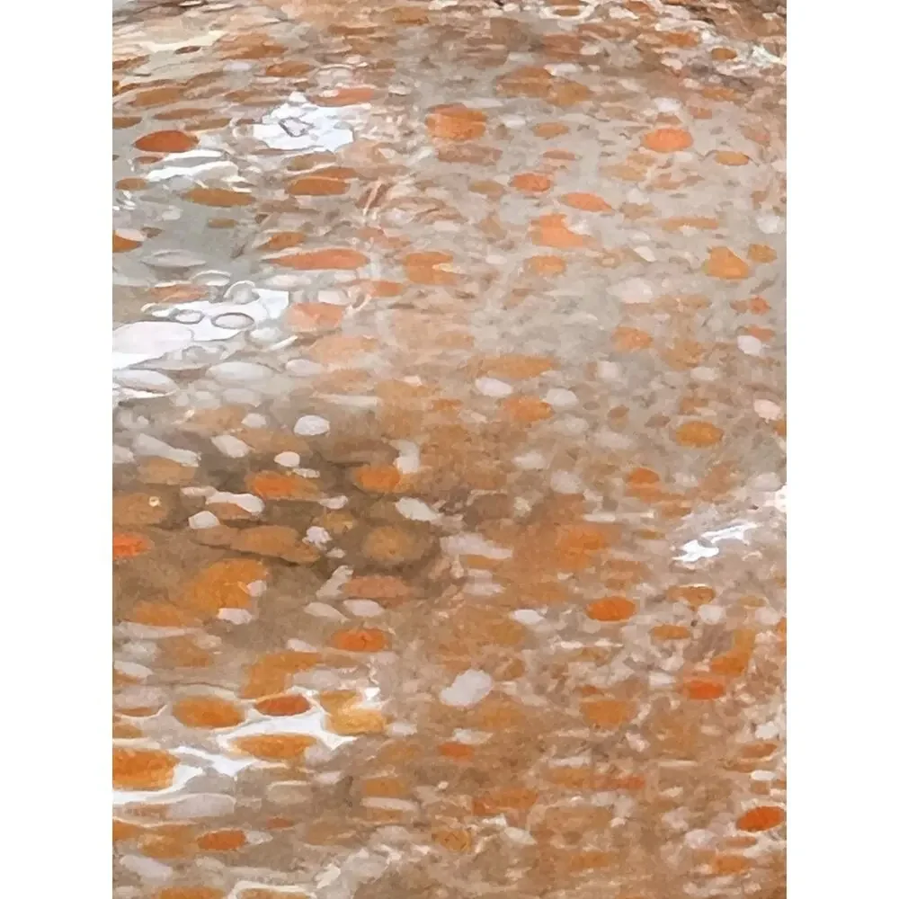 Art Glass Hydroponic Vase Clear Orange & White Speckled Gradient